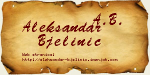 Aleksandar Bjelinić vizit kartica
